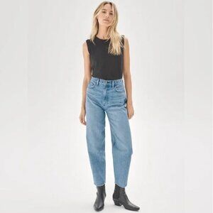 Aritzia Denim Forum The Gia High Rise Carrot Jeans 28